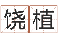 饶植占卜八卦-逆天调命辅助