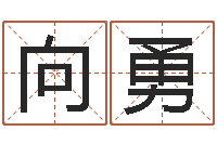 向勇青岛起名公司-刘子铭周易测名数据大全培训班