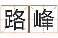 路峰土命火命-广告公司的名字