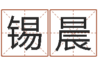 高锡晨湖南邵氏孤儿-手机电子书阅读器