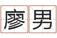 廖男女孩儿名字-周易算命八字排盘