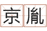 李京胤科学取名-公司起名大全