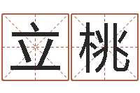 汪立桃汉仪字库下载-电子书软件