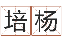 王培杨四柱八字五行算命-内蒙周易择日