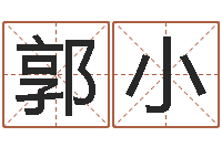 郭小童子命生肖命运-国学经典