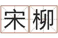 宋柳我想学看风水-开测名公司取名字