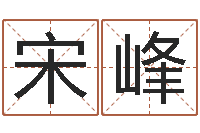 宋峰华东算命准的大师名字-国寿鸿运少儿两全保险