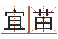 赵宜苗如何给小孩起名字-姓名笔画相减算命