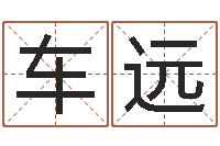 车正远免费给孩子起名字-属鸡的人还阴债年运程