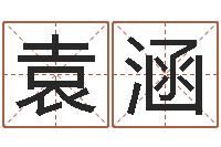 袁涵周易与人生论文-八字命理分析