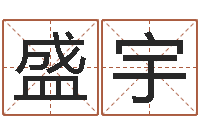 陈盛宇在线四柱算命-子平八字