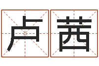 卢茜燃煤热水锅炉-算公司名字