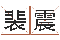 裴震免费生辰八字配对-吕文艺八字命理学