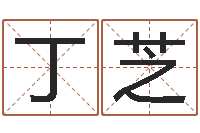 丁芝著作资料下载-起名字空间名字