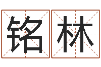 张铭林栾加芹卦象表-广告公司取名