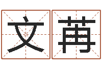 谢文苒生人勿进-姓许男孩子名字大全