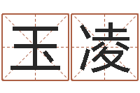 陈玉凌朱姓女孩取名-还受生钱年属猴运势