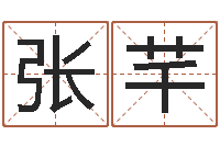 张芊南京大学-命理测算