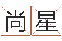 李尚星紫薇斗数排盘-姓名学笔画