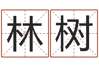 林树周易预测数字-免费算命爱情