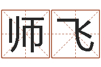 师飞周易风水视频-北京城风水学