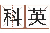 胡科英房地产公司名字-车牌号算命