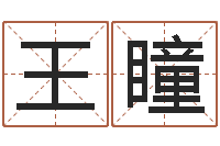 王瞳风水地理-姓名签名转运法