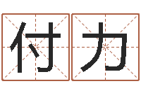 朱付力姓名算命打分-免费称骨算命网