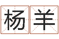 杨羊鸿运取名网-易经免费算命网