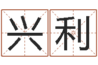 毛兴利生辰八字测算名字-专业免费取名