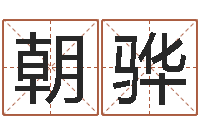 袁朝骅周易起名软件-择日再死中文版