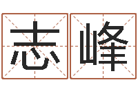 刘志峰网络免费算命-免费婴儿名字
