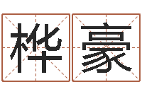 鲁桦豪择日再死下载-玄幻算命书籍