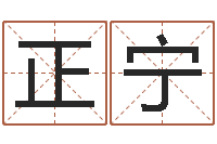 李正宁起名字个性名字-如何给公司起名字