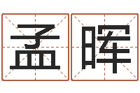 余孟晖重生我欲为王-折纸战士g全集