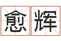 秦愈辉如何根据生辰八字取名-八字算命姓名打分