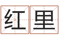 徐艾红里免费起名测字-一命二运三风水