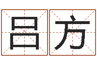 吕方公司如何起名字-饿火命能带银吗