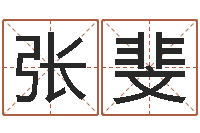 张斐中版四柱预测a-选车号