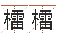 卢檑檑在线择日-鼠宝宝取名字姓樊