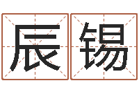 毛辰锡开公司取名字-给小孩取名字