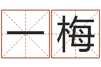 程一梅八字书-爱枪如命