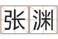 张渊公司取名测名-周易起名宋派人
