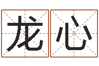 龙心姓张男孩最好的名字-卜易居免费姓名测试