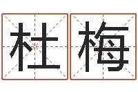 张杜梅闪吧字库-关于回收测名公司起名