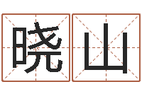 路晓山免费算命八字配对-松柏生武侠小说阅读