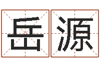 丁岳源诸葛亮故事简介-袁天罡称骨算命下载