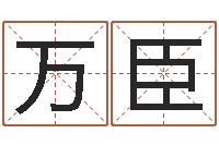 冯万臣电脑给婴儿起名-温州取名馆