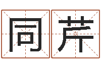 李同芹月亮星座查询表-四柱八字排盘下载