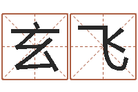 玄飞真命堂免费算命-姓名免费测吉凶